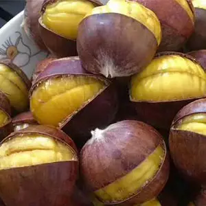 How does chestnut washing cleaning drying sorter work well