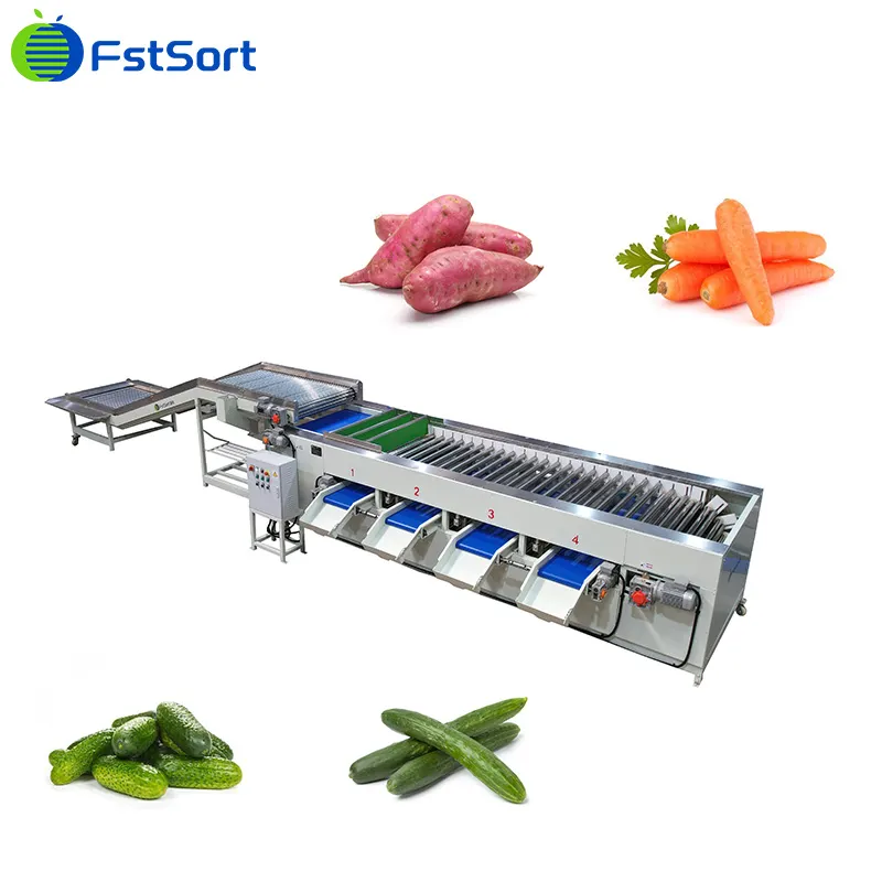 How important it is to sort cucumber properly