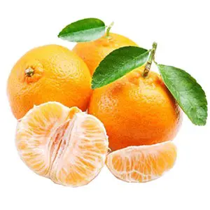 Small size mandarin tangerine processing line