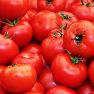How to quickly detect the maturity and quality grade of tomatoes