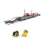 Avocado Washing, Drying, Waxing and Grading Line