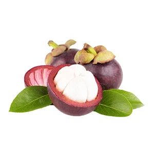 Chinese sorting equipment sells well overseas