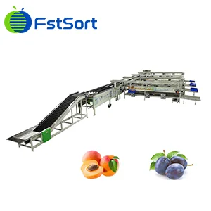 Sorting solutions for Plums and apricots