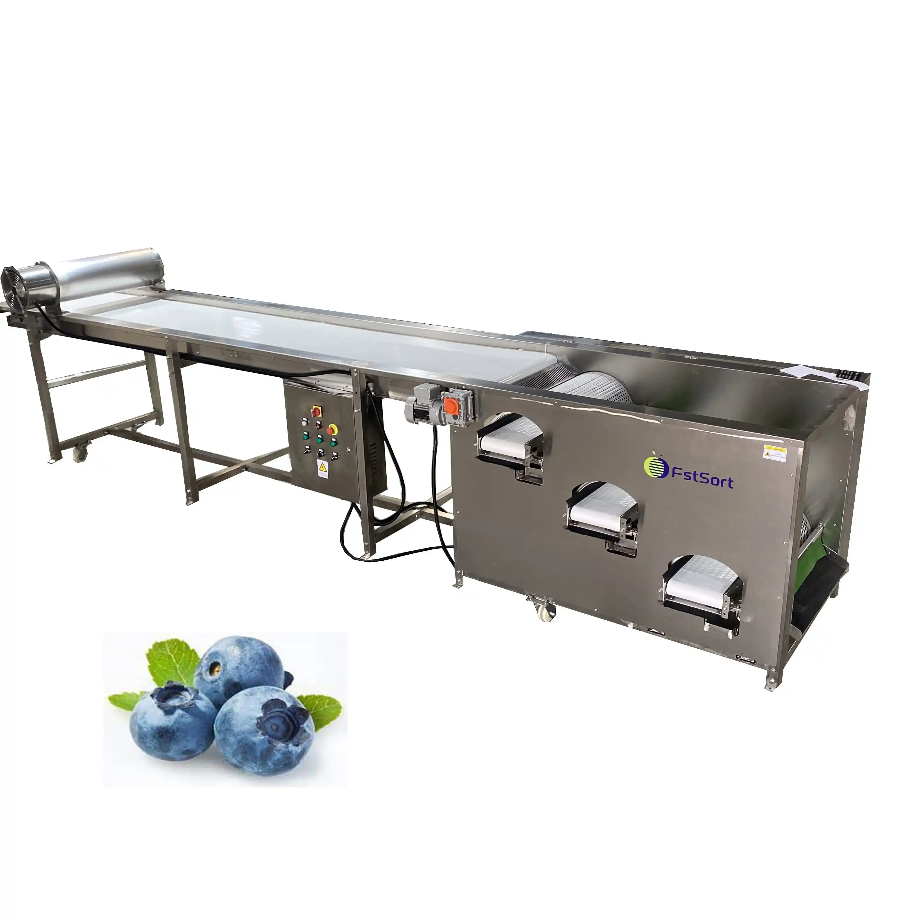 Grader，a good ally for blueberry sorting