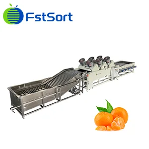 Zimbabue Inicia Preparativos para Exportar Cítricos a China