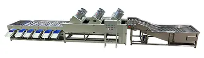 Mandarin Processing Line | Washing, Waxing, Drying & Grading Machines - Drum Grader by FstSort