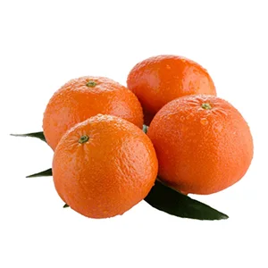 Chinese market brings new opportunities for Zimbabwe citrus