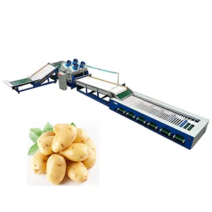 The Undeniable Truth of Using Potato Cleaning Drying Sizer