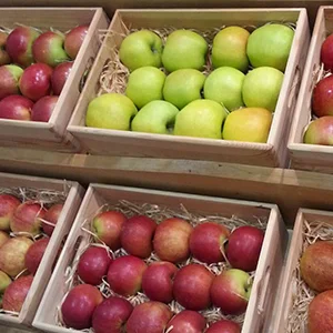 What is the grading and sorting of apples
