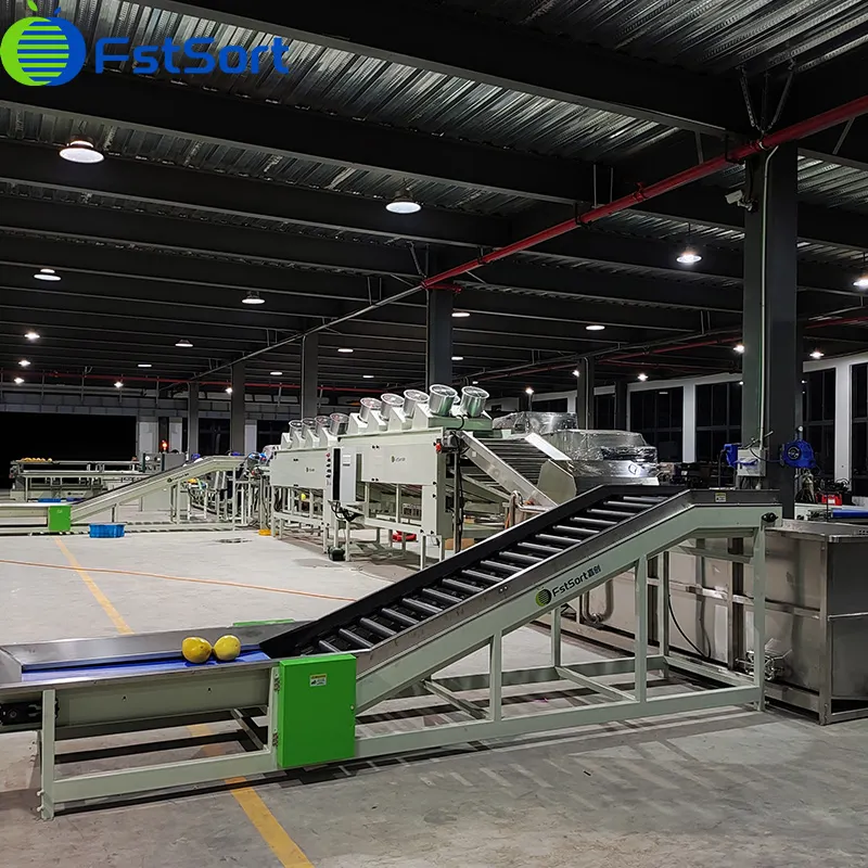 Grapefruit Cleaning weight sorting and packing line