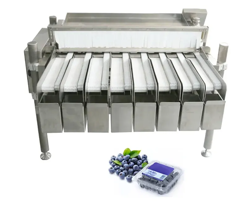Máquina de Embalaje de Arándanos: Solución Eficiente para Frutas Frescas