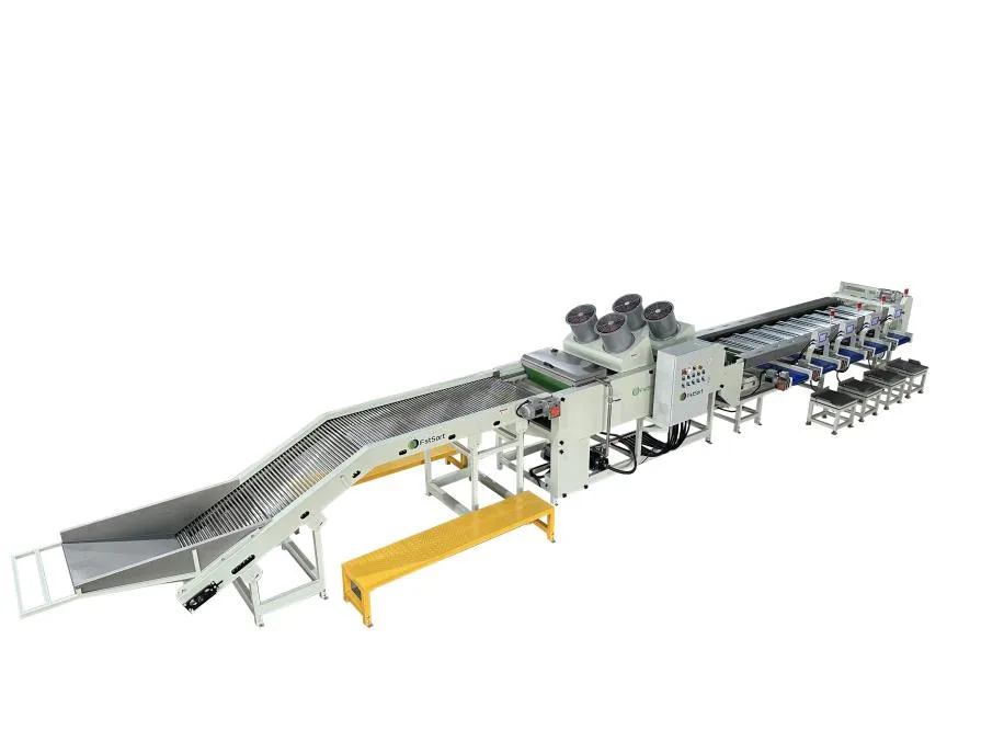 Cherry tomatoes sorting line