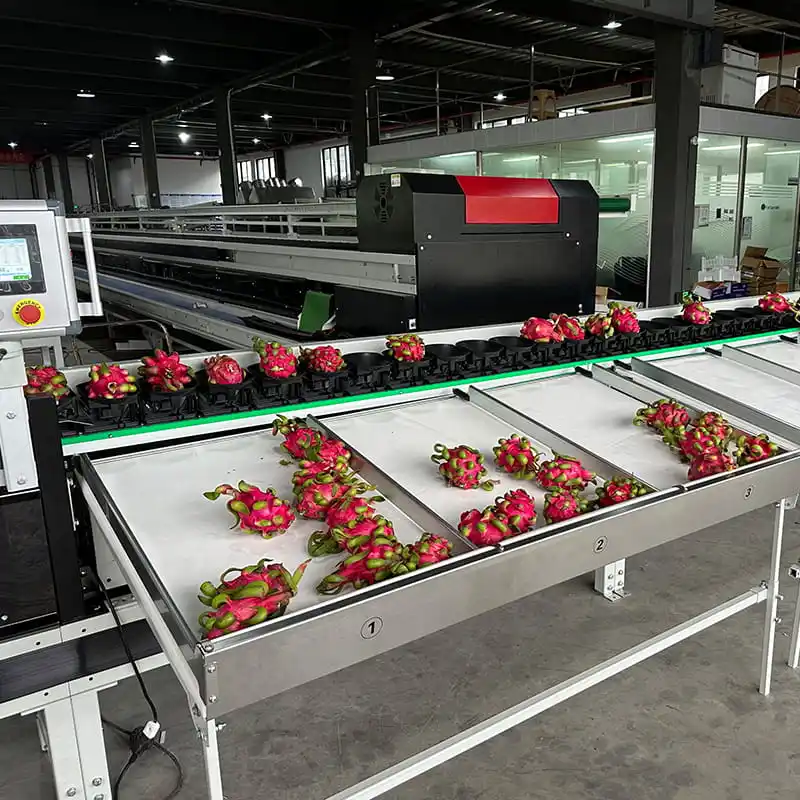 FstSort nuevo equipo de clasificación