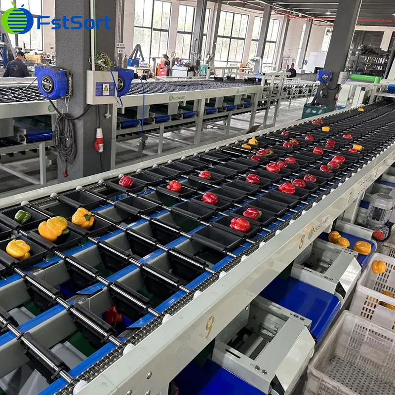 Líneas de clasificación por colores