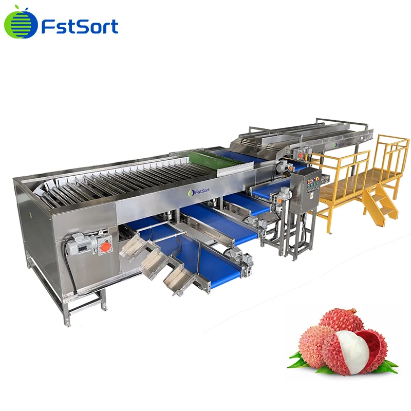 Litchi Grading Machine Specially Customized For Australian Customers