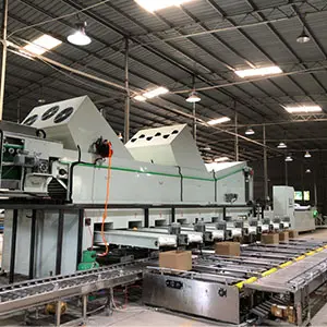 Automatic lemon waxing sorting packing machine