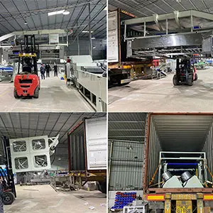 Cherry pepper sorting line sold to South Africa