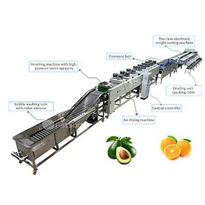 Fruit Waxing Machine