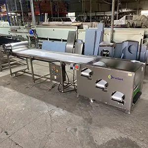 Blueberry sorting could be more efficient