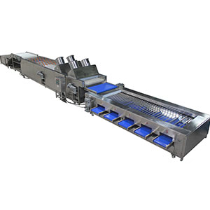 sweet potato cleaning grader sweet potato washing drying grading equipment