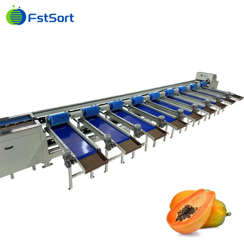 Clasificación de Papaya