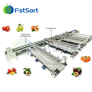 Apricot Packing Solution