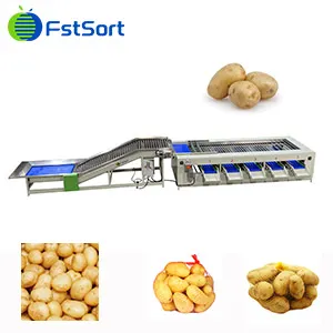 How much does a potato grader cost