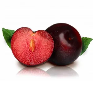 High efficiency plum classifier