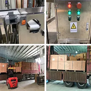 Blueberry grading machine shipped to South Africa