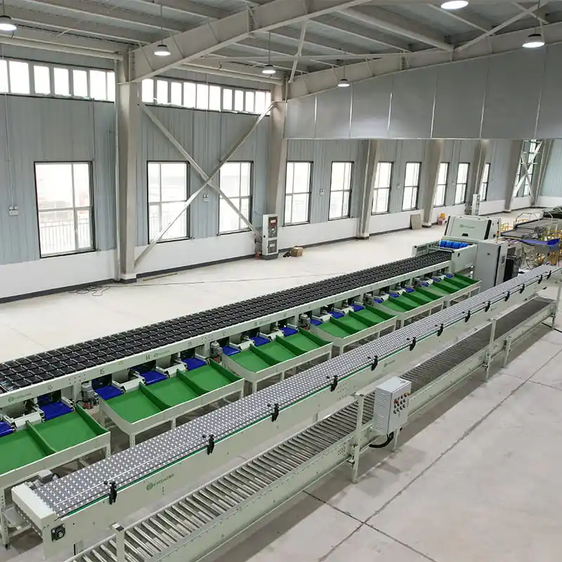 Fstsort onion grader brings new breakthrough in production