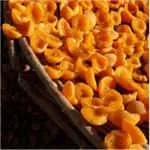 Fruit processing machine with my life