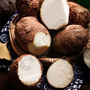 Advanced Sorting Solutions For Eddo Sorting Machine