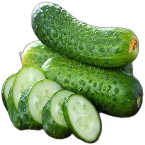 Azerbaijan Cucumber Sector Embraces Automation with New Partnership