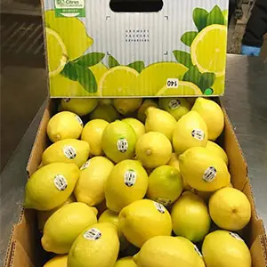 The first cabinet of lemons from Chile has arrived in China