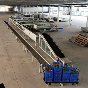 The tomato grading packaging line was successfully installed