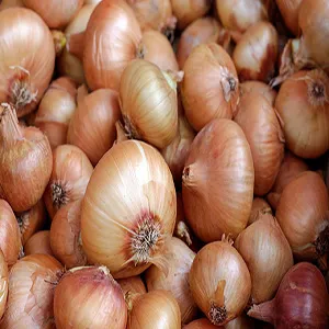 How Onion Processing Machinery Boosts Food Factory Efficiency