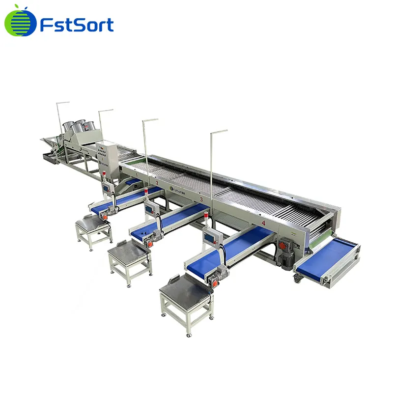 Cherry Tomatoes cleaning and sorting is actually very simple