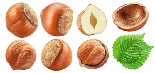 How to sort hazelnuts