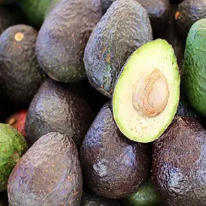 Kenyan avocado targets the Chinese market