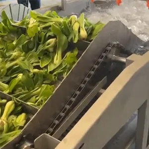 Máquina lavadora y secadora de verduras de hoja