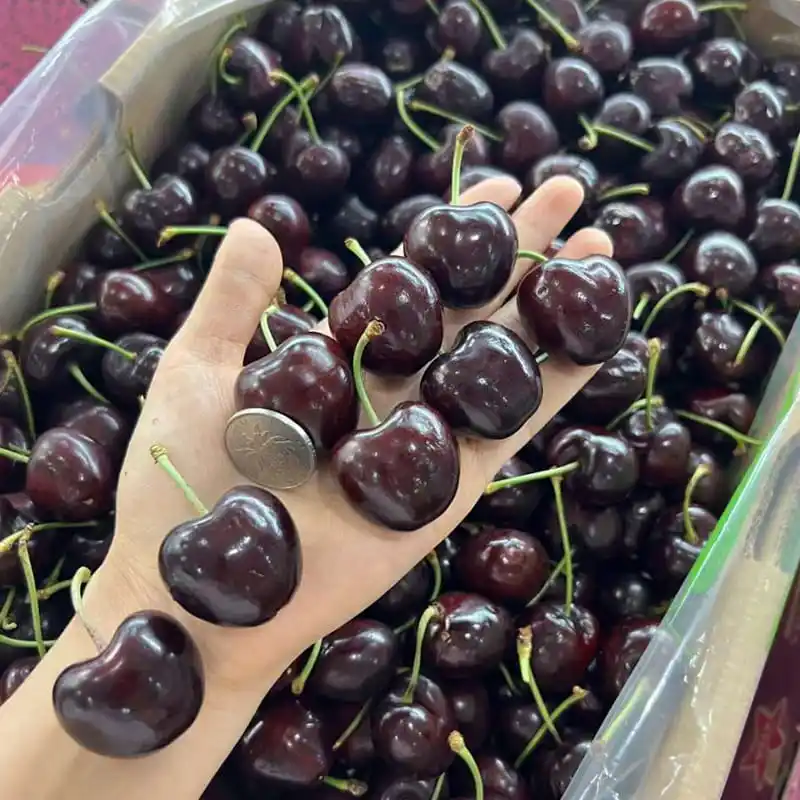 Why are Chilean fruits so popular in China