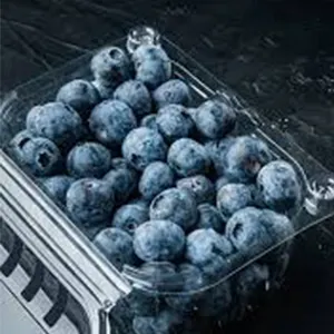 Dormitorio de arándanos——envasadora