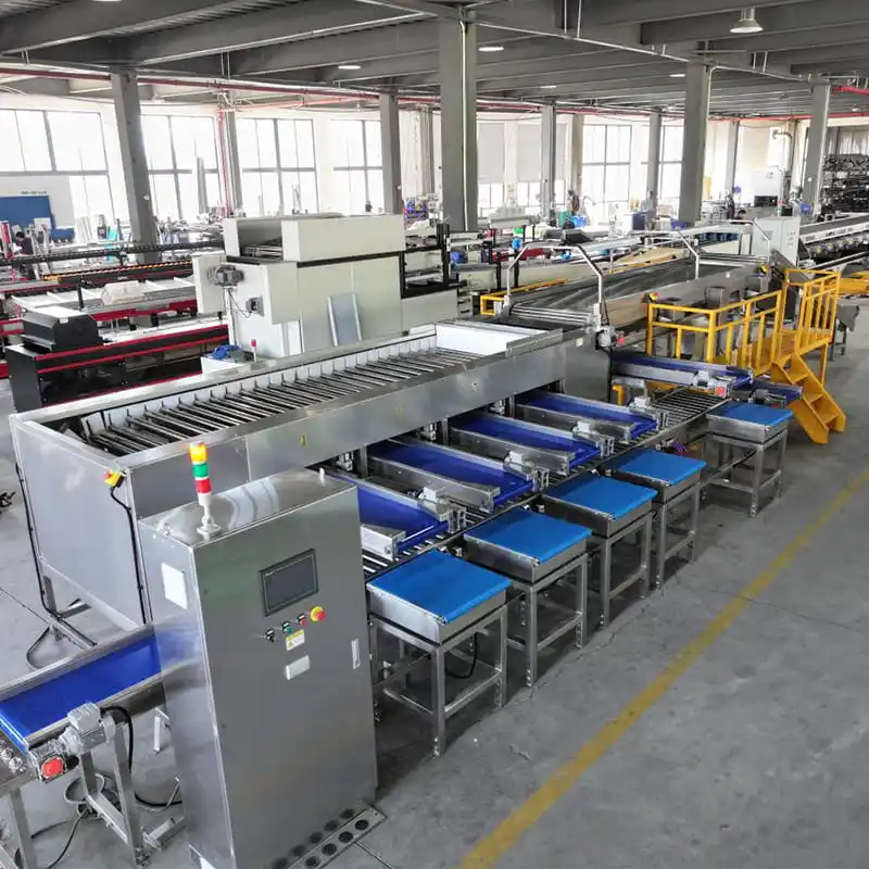 Jujube Grading Machine in Australia