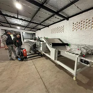 Máquina clasificadora de ajos fue adquirida nuevamente por clientes argentinos