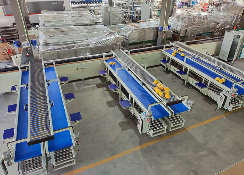 Grape Fruit Sorting Line | FstSort