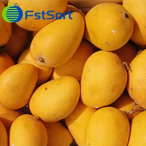 Un Cliente de Mango de Perú