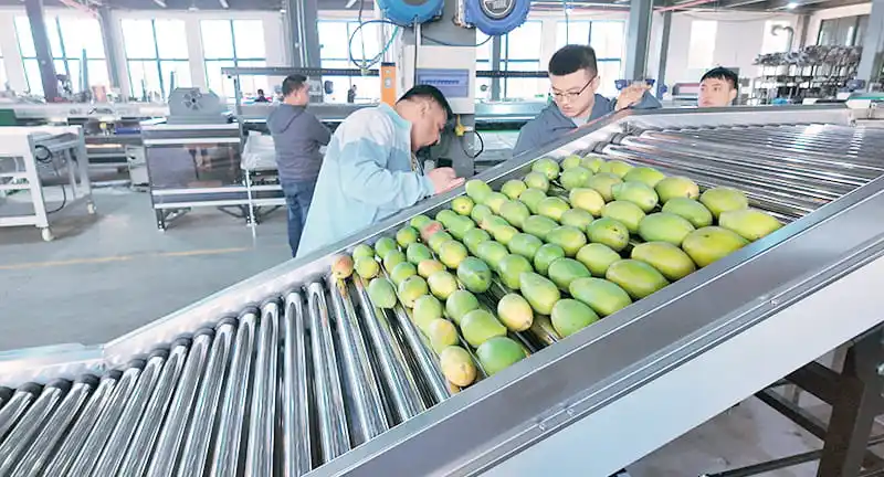 Inspection before shipping machines to India