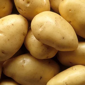 How to maximize potato sorting efficiency