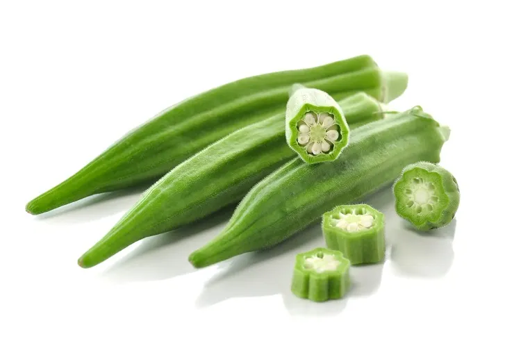 Okra washing and drying machine