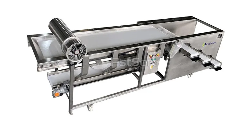 La clasificadora de arándanos